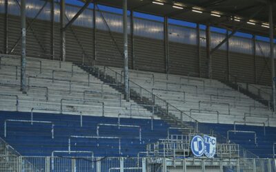 Nürnberger doppelt: Magdeburg trotzt Darmstadt ein 1:1 ab